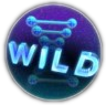 Дикарь аппарата с надписью wild