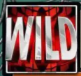 Дикарь аппарата - надпись Wild